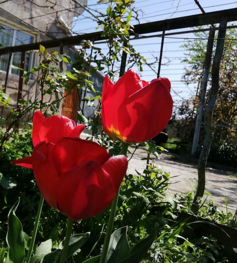 Hotel Udabno Naili Zewnętrze zdjęcie